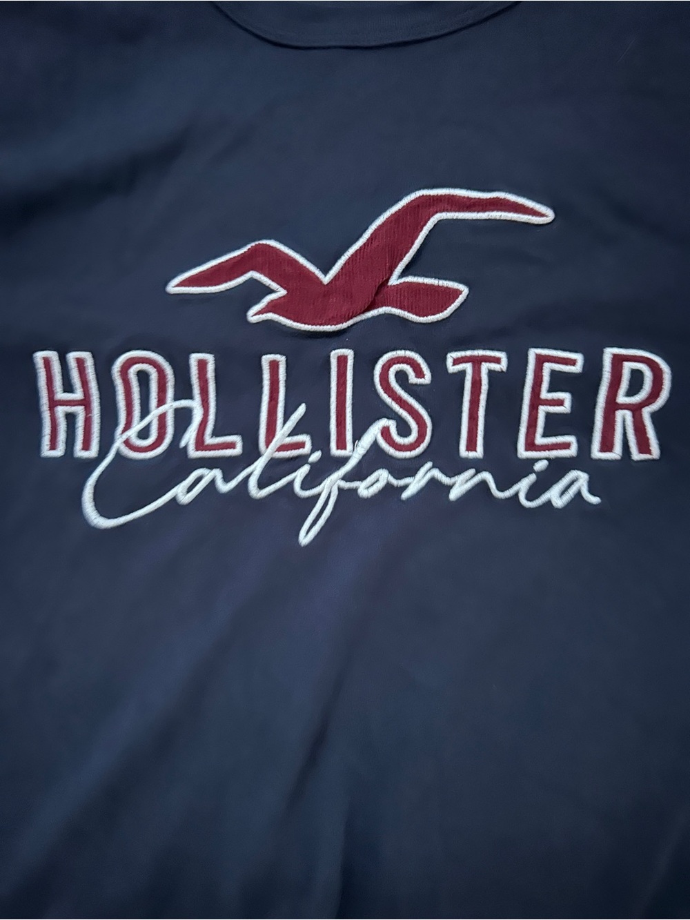 Hollister Men's Navy Short Sleeve Logo Tee with Red Accent